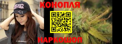 apvp Можга