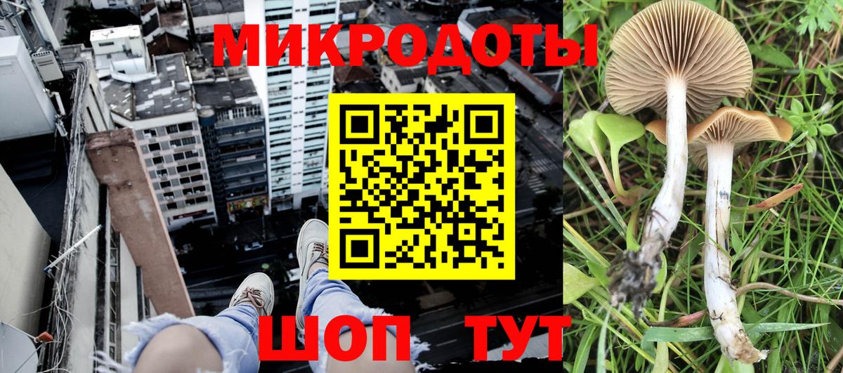 Галлюциногенные грибы мицелий Первоуральск
