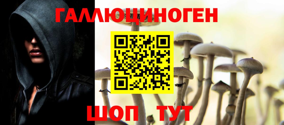 Псилоцибиновые грибы мицелий  Вход с VPN  Первоуральск  где купить наркотик  Галлюциногенные грибы GOLDEN TEACHER 